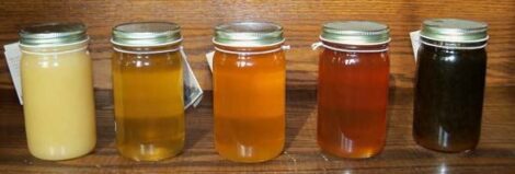 Appreciating the Tastes of Regional Honey Image